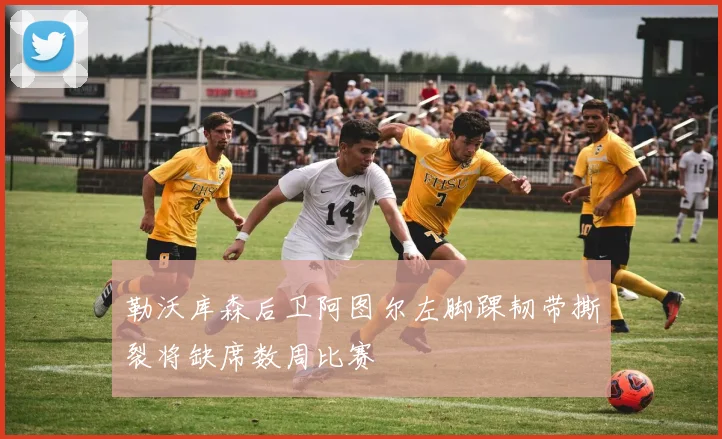勒沃库森后卫阿图尔左脚踝韧带撕裂将缺席数周比赛