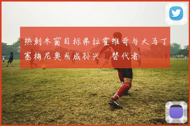 热刺冬窗目标弗拉霍维奇与大马丁塞梅尼奥或成孙兴慜替代者